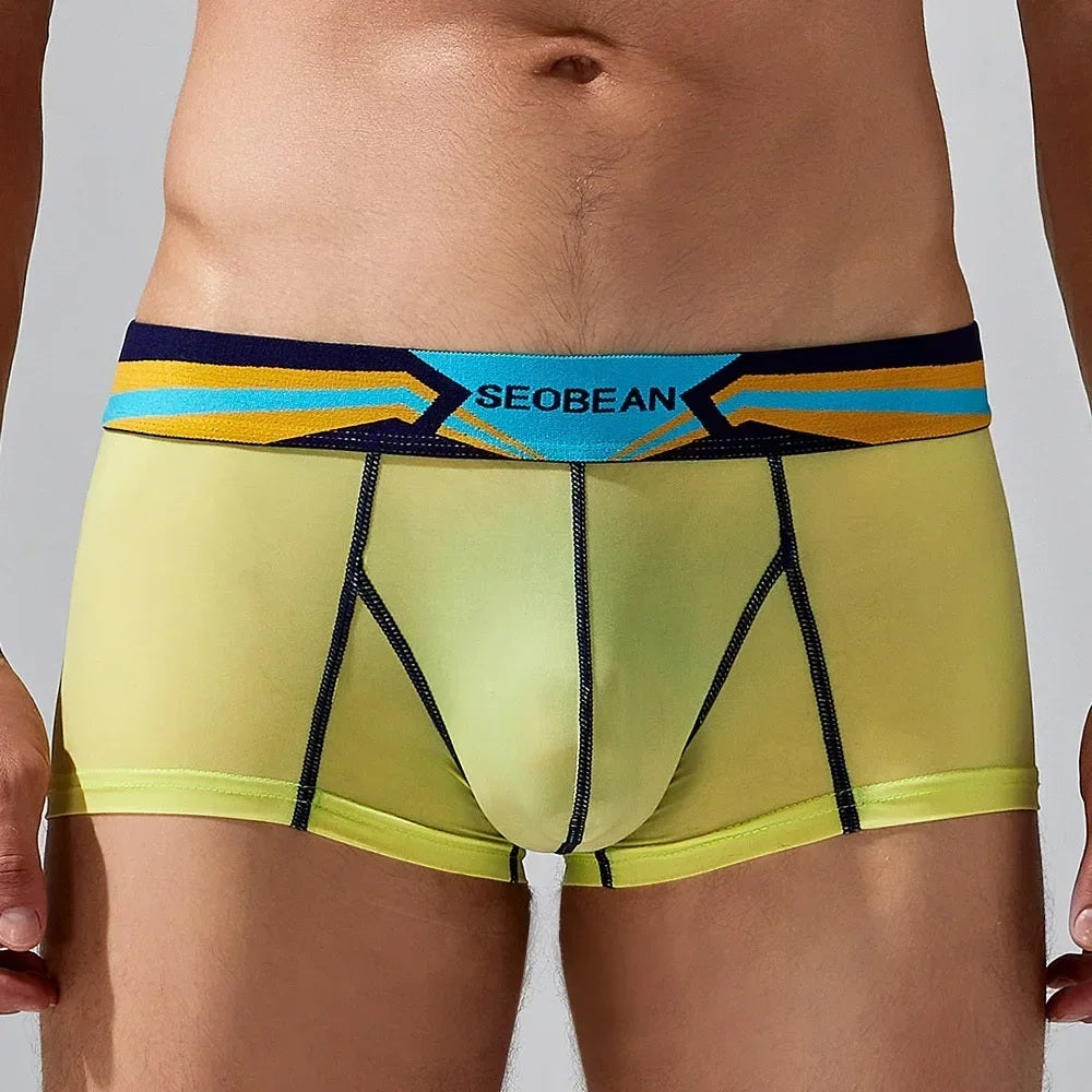 Men’s Sheer Boxer Briefs